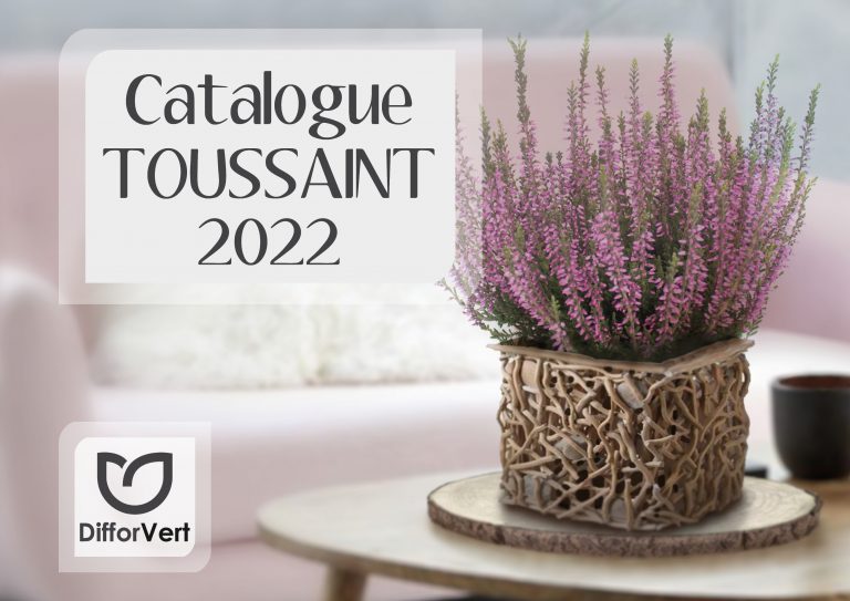 catalogue toussaintpage 3 et 4