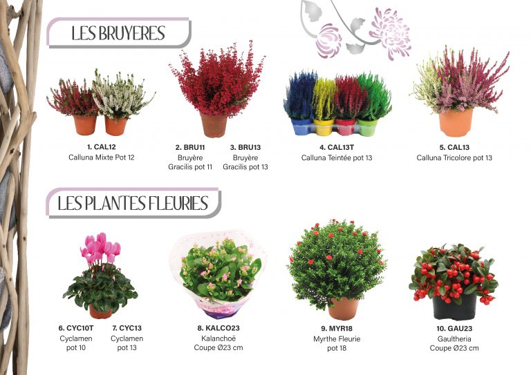 catalogue toussaintpage 3 et 42