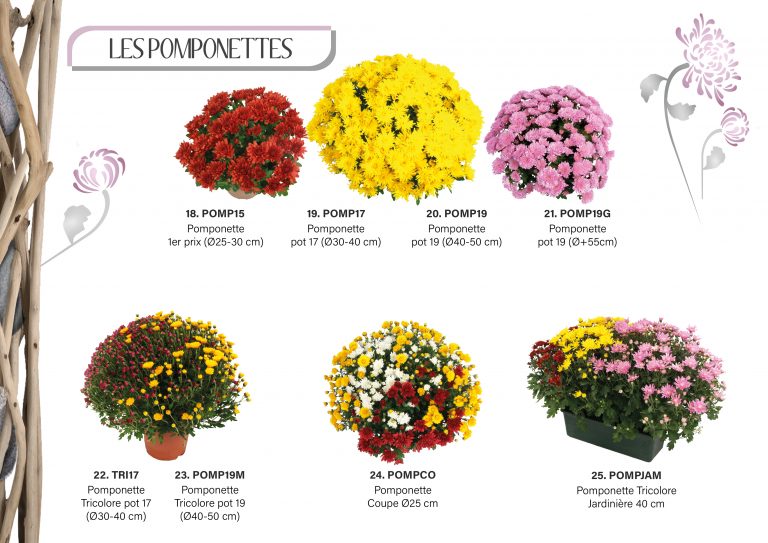 catalogue toussaintpage 3 et 44