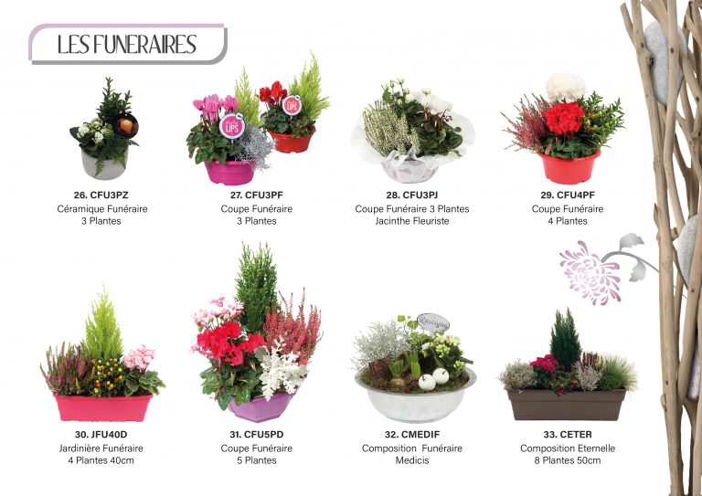 catalogue toussaintpage 3 et 45